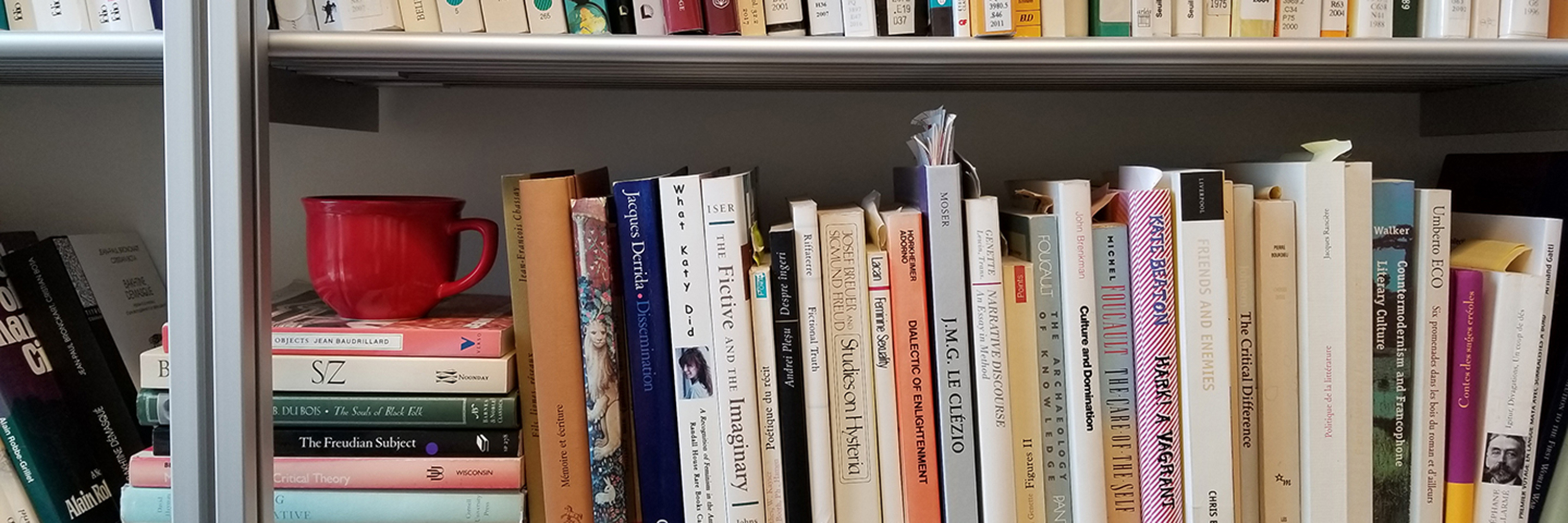 Bookshelf displaying numerous French texts. 