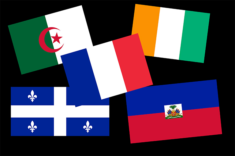 Francophone flag compilation.